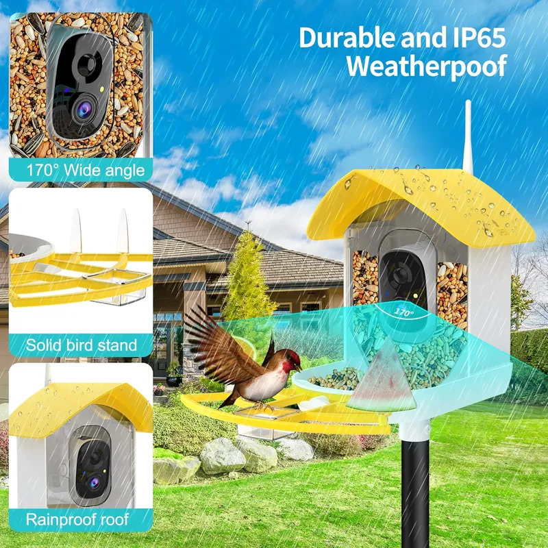 Gyozol Bird Feeder with Camera, Solar Powered
