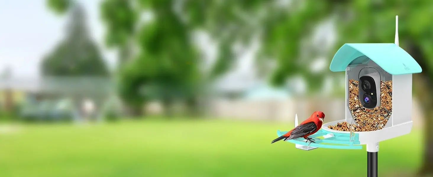 Gyozol Smart Bird Feeder with Camera